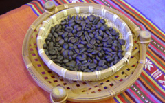 �x�g�i���R�[�q�[